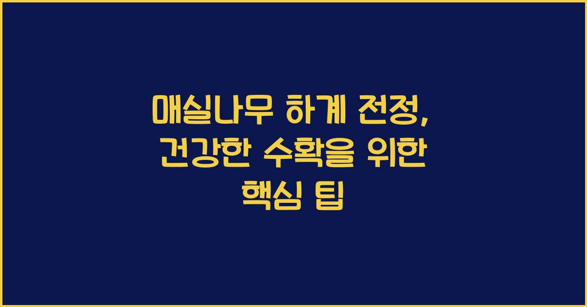매실나무 하계 전정