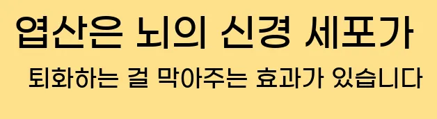  엽산은 뇌의 신경 세포가 퇴화하는 걸 막아주는 효과가 있습니다