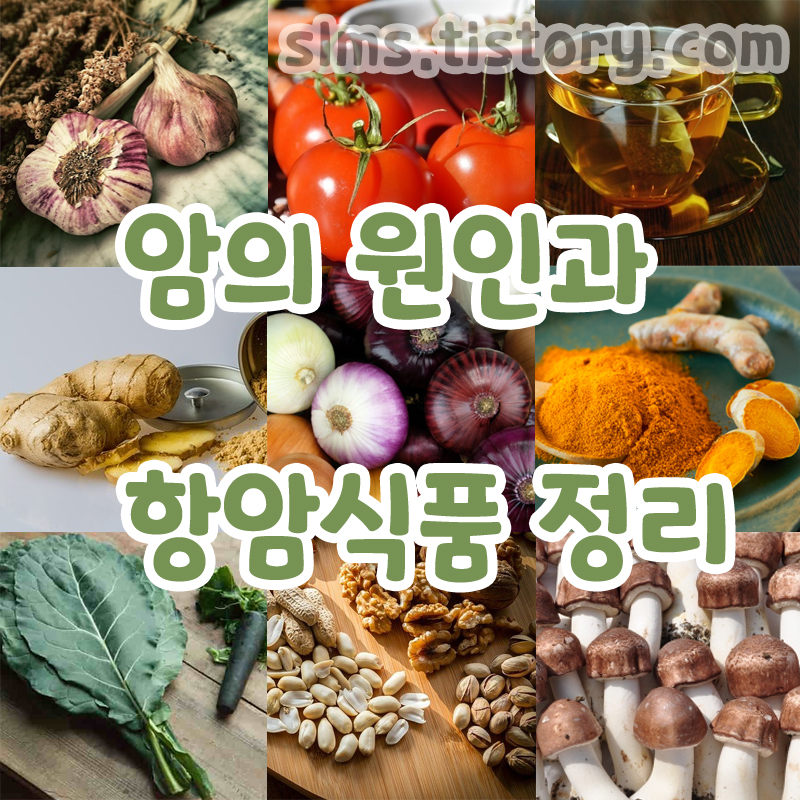 항암식품