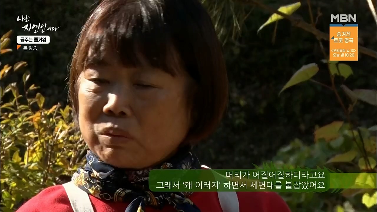 나는 자연인이다.E528.221117p.H264-F1RST.mp4_20221119_185619.446.jpg