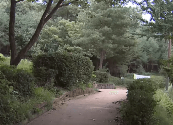 신림동 공원 폭행 사건 현장