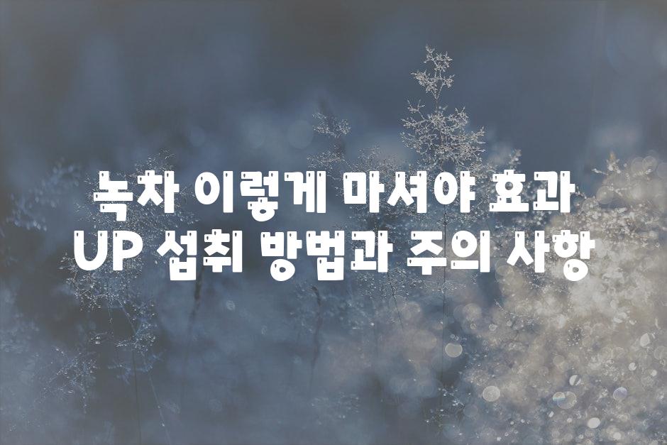 녹차 이렇게 마셔야 효과 UP 섭취 방법과 주의 사항