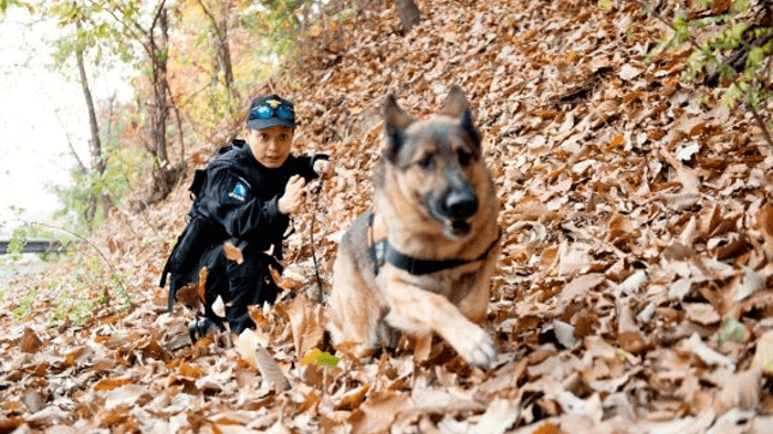 Thumbnail - Why Jindo Dogs Can't Be Police Dogs