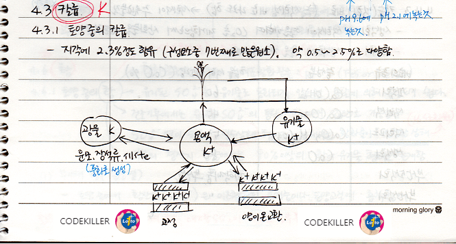 토양중의 칼륨