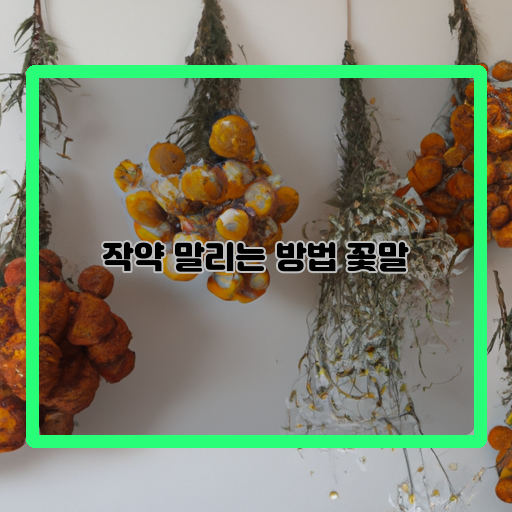  작약 아름답게 말리는 방법, 그림같은 꽃의 모습을 간직하세요