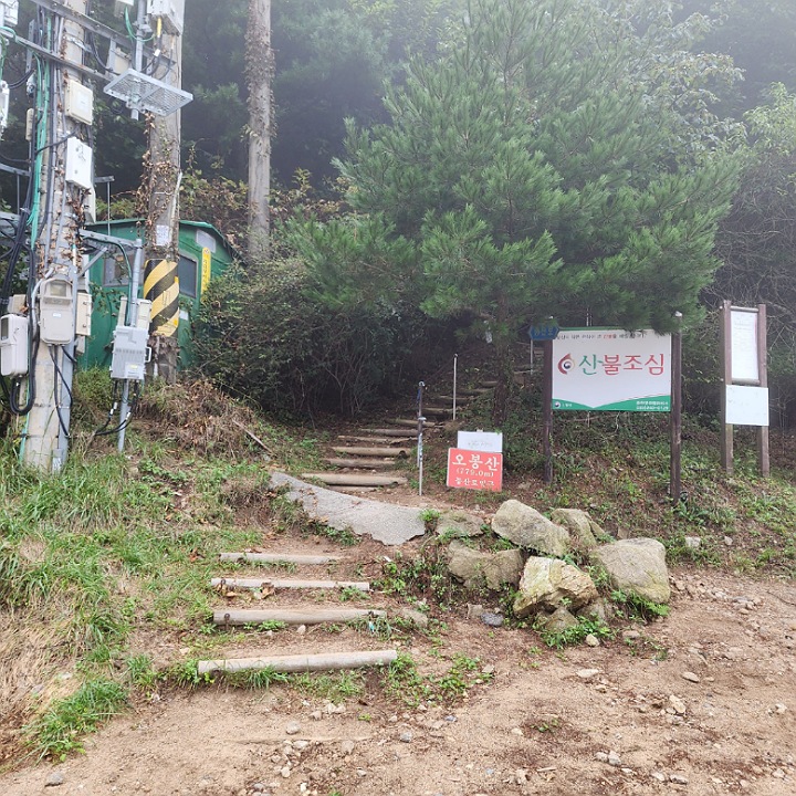 배후령등산로 초입