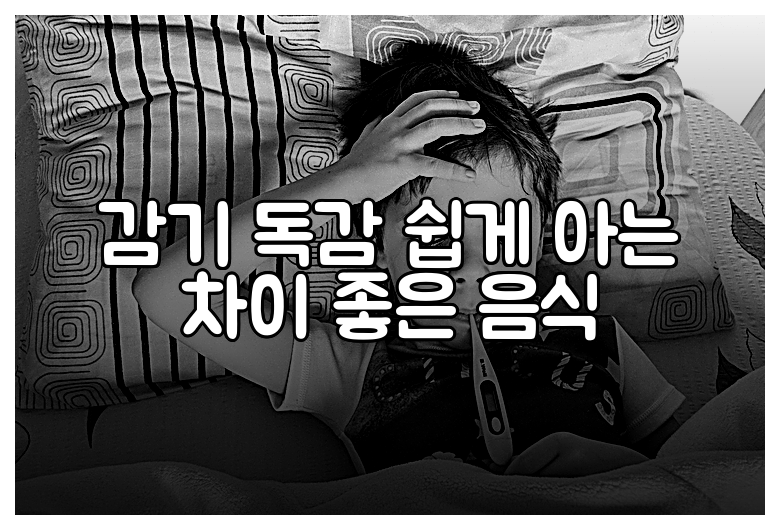 감기 독감 쉽게 아는 차이 좋은 음식