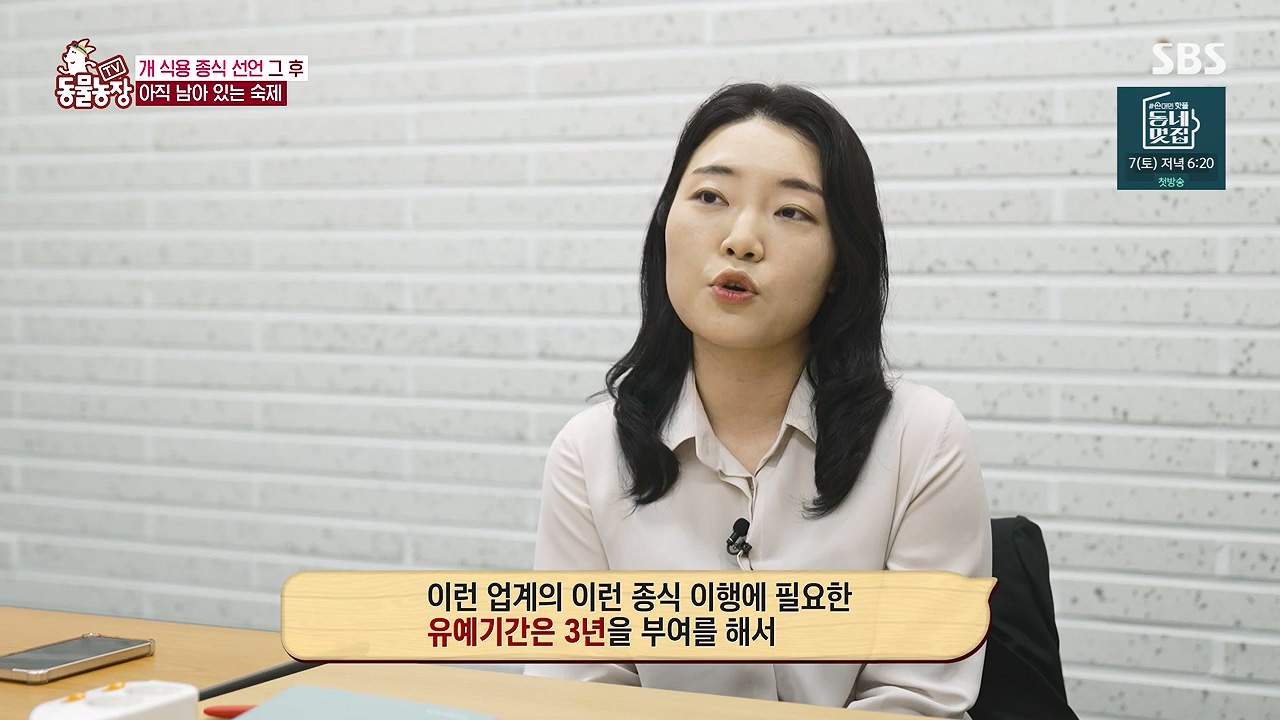 TV 동물농장.E1187.240902p-NEXT.mp4_20240901_155517.181.jpg