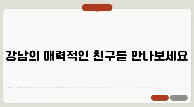 강남에서 성격 좋은 랙돌 고양이를 찾아보세요!