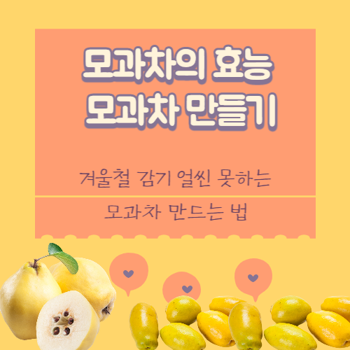 모과차효능