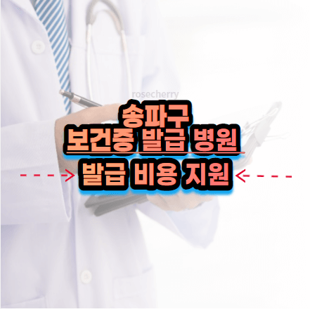 송파구-보건증-발급병원-안내