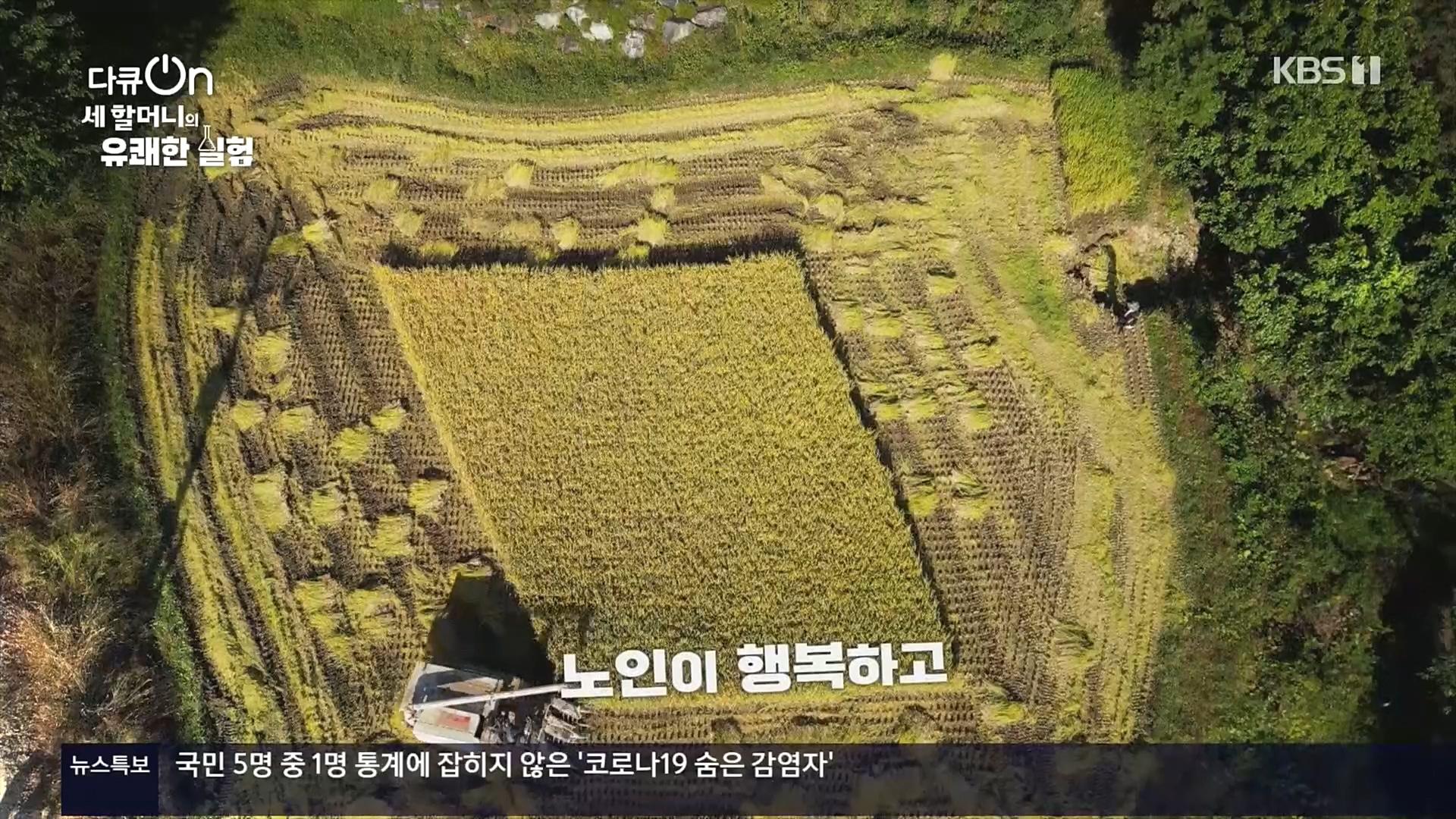 다큐 On.E166.221028p.H264-F1RST.mp4_20221031_194211.586.jpg