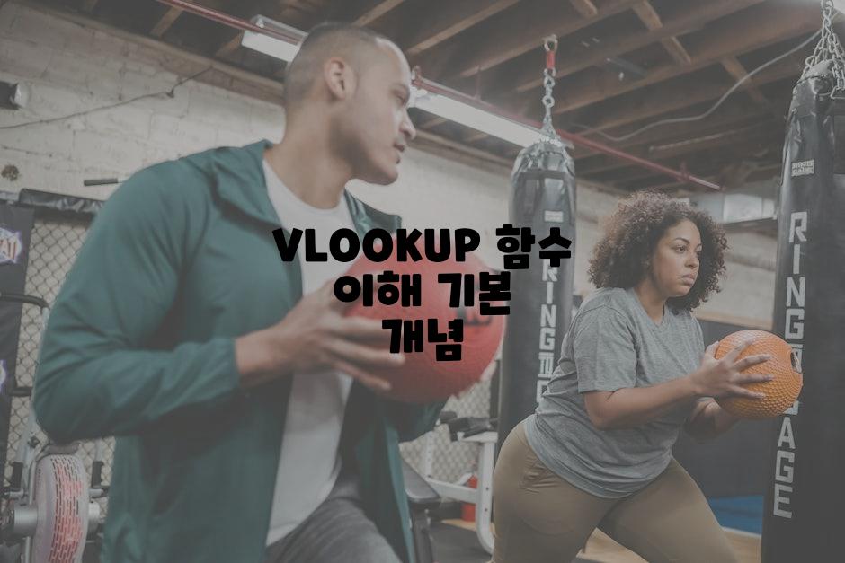 VLOOKUP 함수 이해 기본 개념