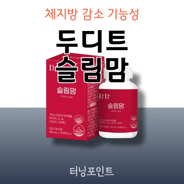 두디트 슬림맘 내돈내산 후기 효과 부작용 알고 드세요