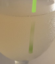 사진에 재미있는 그림 낙서하기