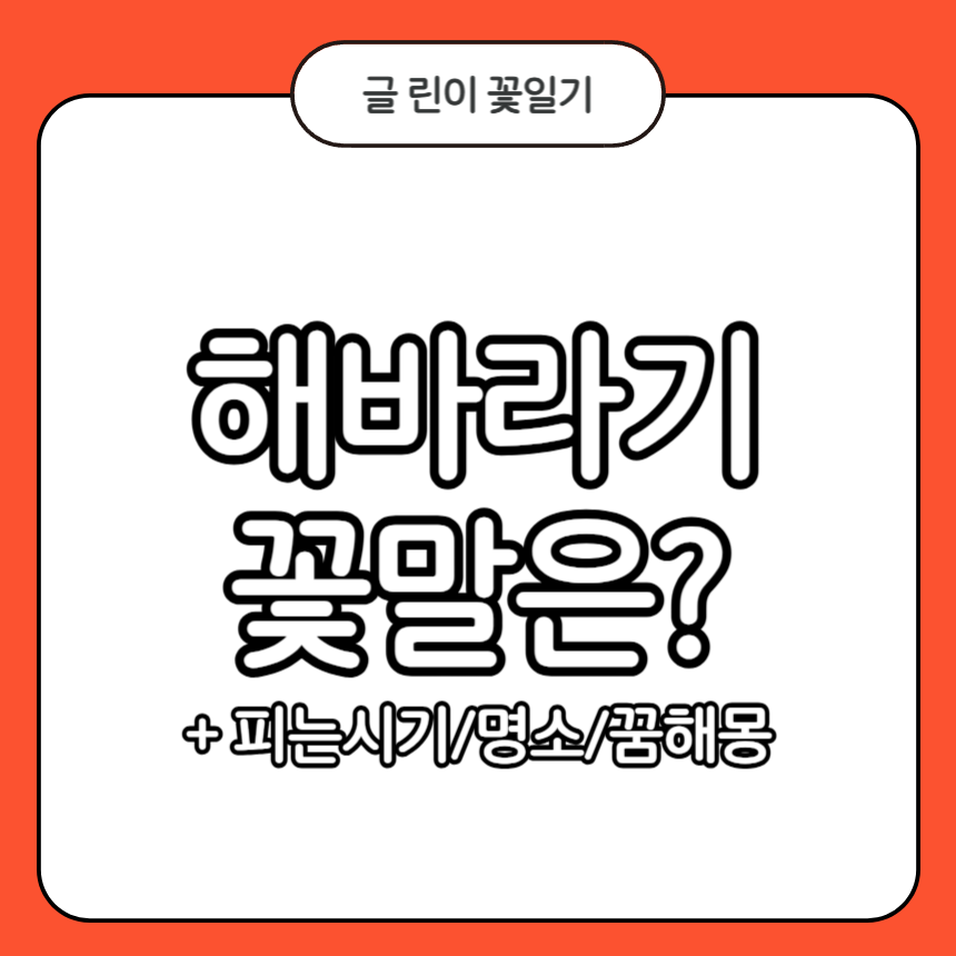 해바라기 꽃말