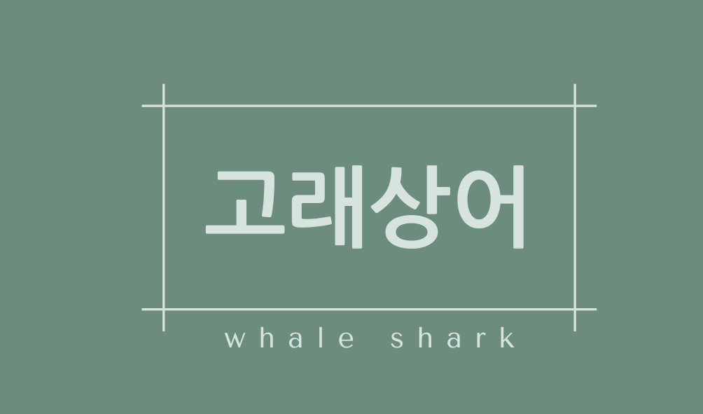 고래상어(whale shark)