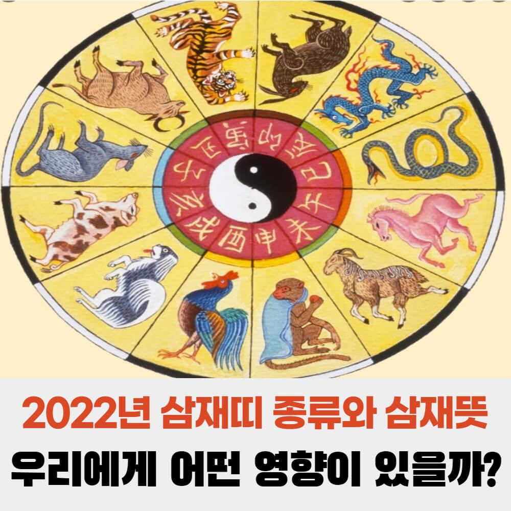  2022년 삼재띠 종류 와 삼재 뜻 우리에게 어떤 영향이 있을까?  (들삼재 묵삼재 날삼재)