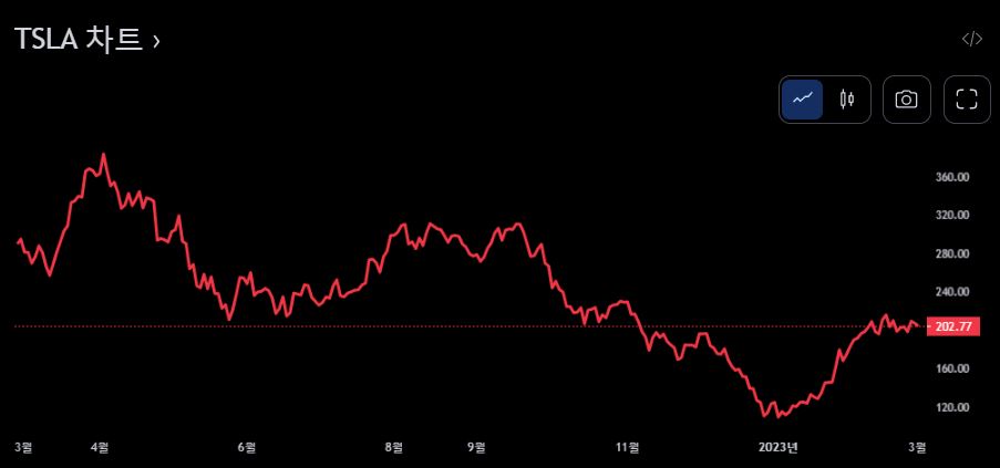 &lt;테슬라 차트&gt;