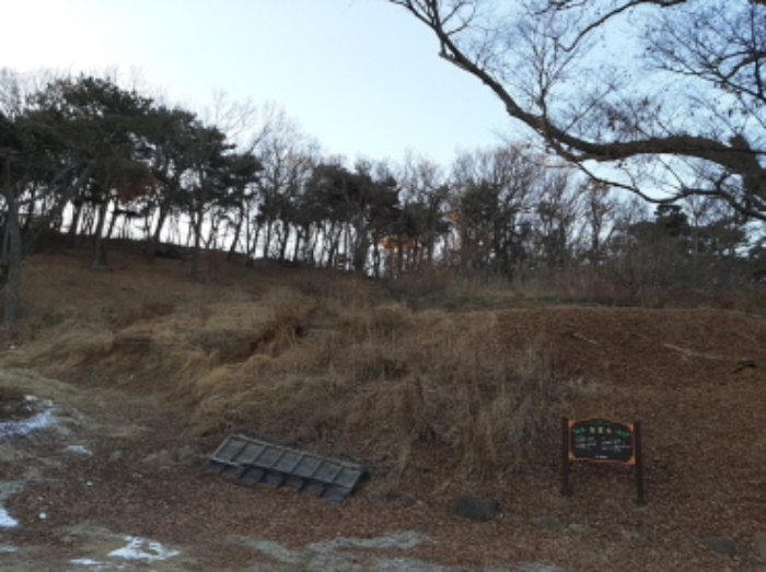 인천지방법원2021타경18124 목록10(임야) 전경(묘지 4~5기)