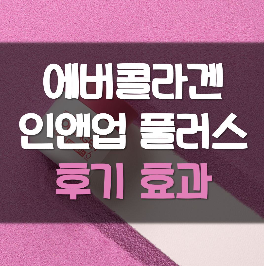  김사랑 콜라겐 에버콜라겐 인앤업 플러스 후기