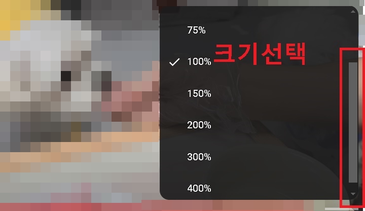 자막 크기 선택 창 보임