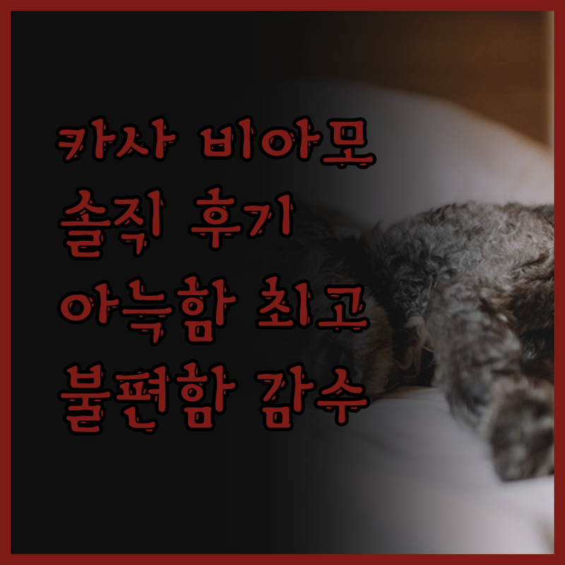 카사 비아모 솔직 후기! 아늑함에 반