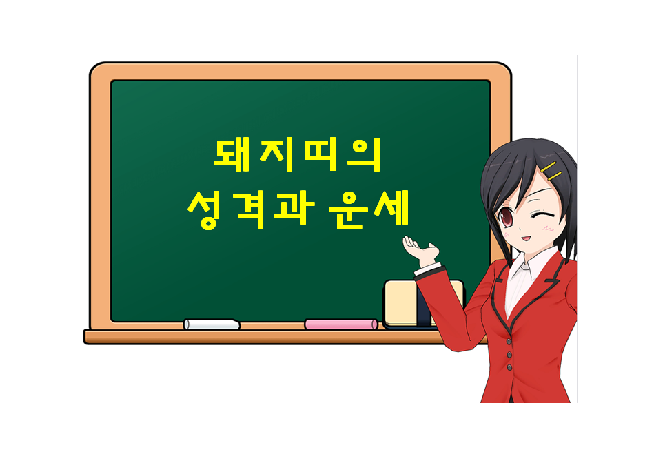  돼지띠의 성격과 운세, 돼지띠에 대해 궁금하다면?