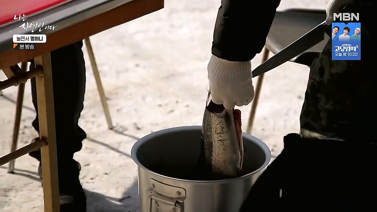 나는 자연인이다.E538.230126p-NEXT.mp4_20230126_194015.632.jpg