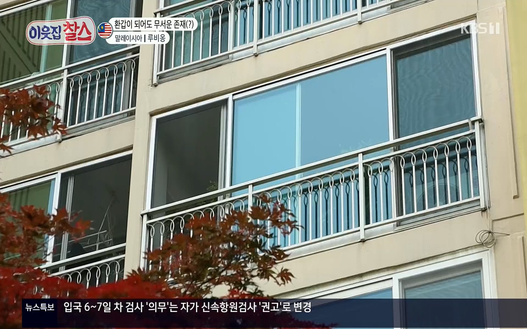 이웃집 찰스.E342.220614p.H264-F1RST.mp4_20220615_204208.041.jpg
