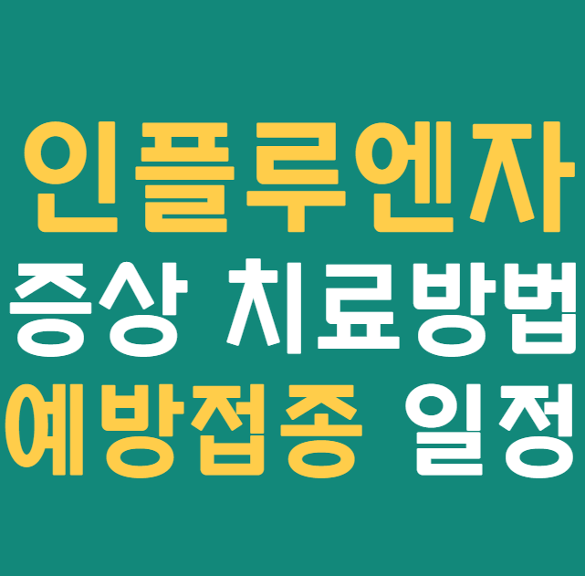  인플루엔자 증상 및 치료방법