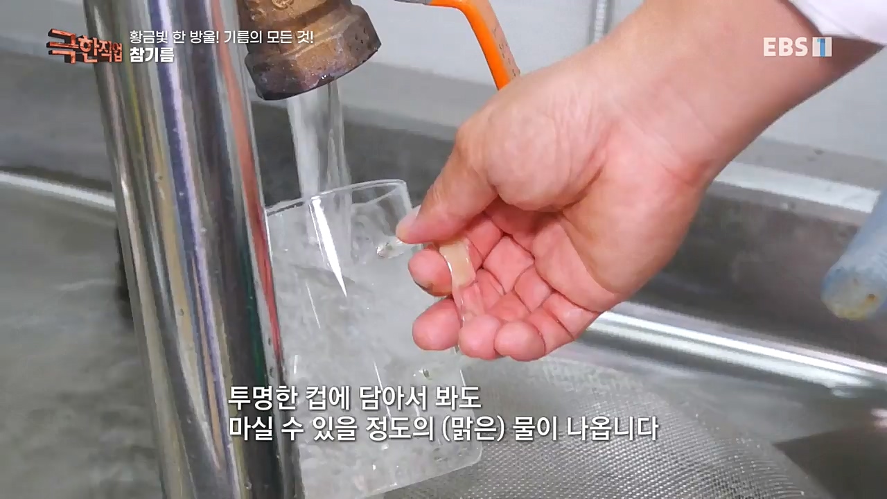 TV - 교육의 중심 EBS황금빛 한 방울! 기름의 모든 것!.mp4_20221031_191533.010.jpg