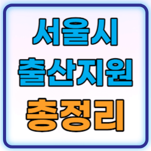 서울시 출산지원금 출산장려금 총정리