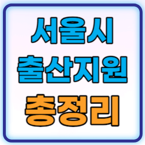  서울시 자치구 출산지원금 출산장려금 알아보기 총정리