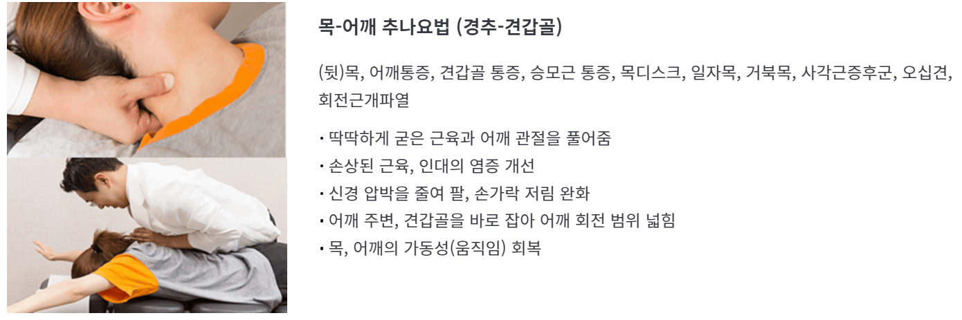 추나요법 가격 비용 추나요법 효과