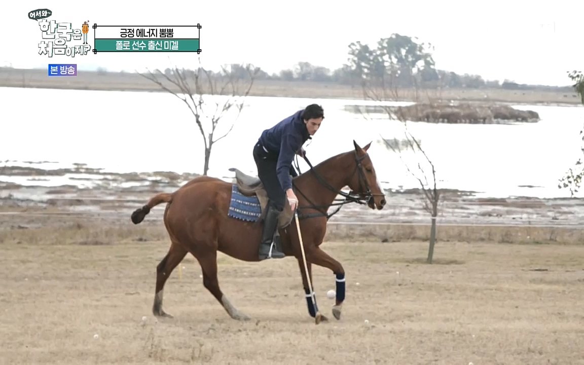 어서와 한국은 처음이지 시즌2.E227.220909p-NEXT.mp4_20220909_193948.234.jpg