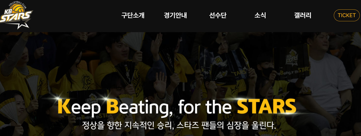 KB손해보험 스타즈 배구단