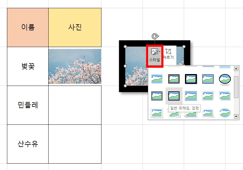 엑셀에 삽입한 사진의 스타일 설정하는 모습