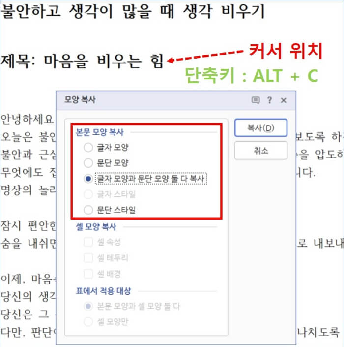 모양-복사-설정-화면