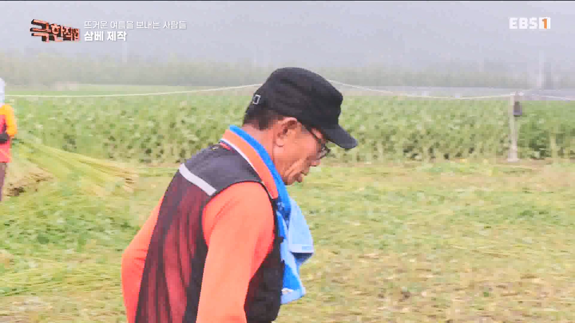 [극한 직업] 삼베 제작과 농어잡이 230812p.mp4_20230814_204001.561.jpg