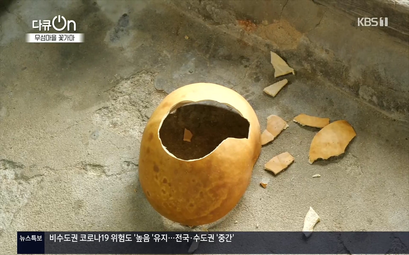 다큐 On.E156.220909p.H264-F1RST.mp4_20220910_192353.777.jpg
