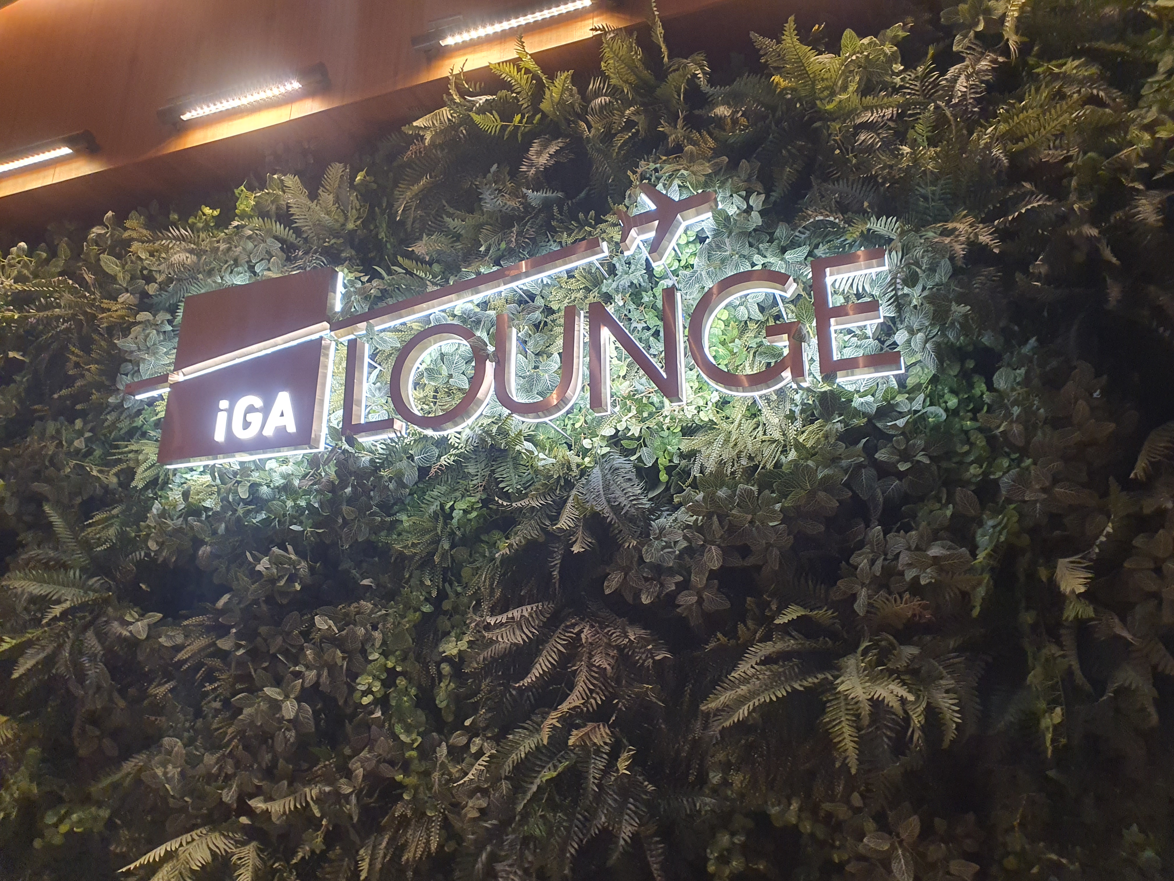 튀르키예 패키지 여행 - 9일차 이스탄불 IGA라운지, 대한항공 KE956