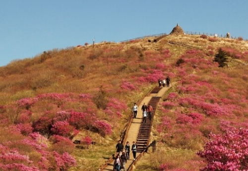 지리산 성삼재 주차장 위치 요금