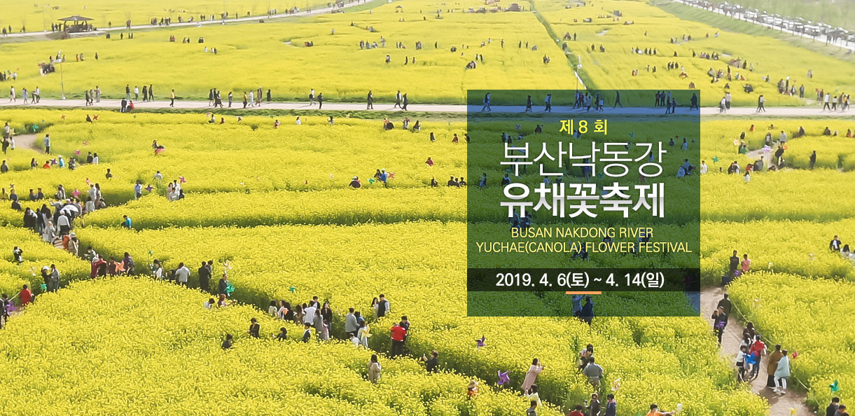  부산 가볼만한곳: 부산 대저생태공원 유채꽃 축제를 다녀왔습니다