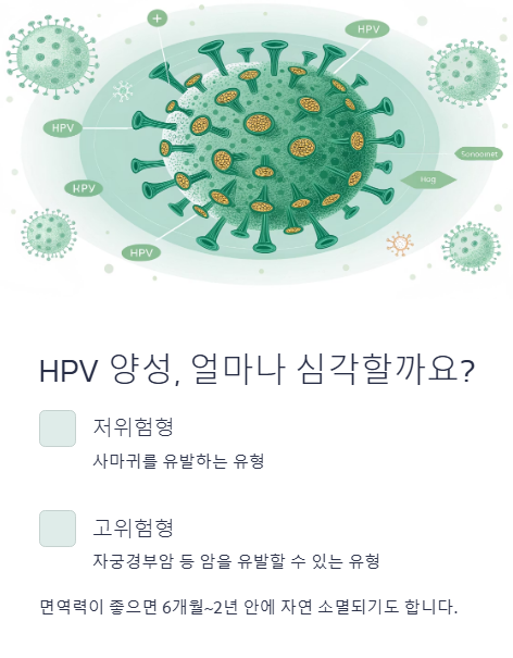 hpv 양성 얼마나 심각할까요?