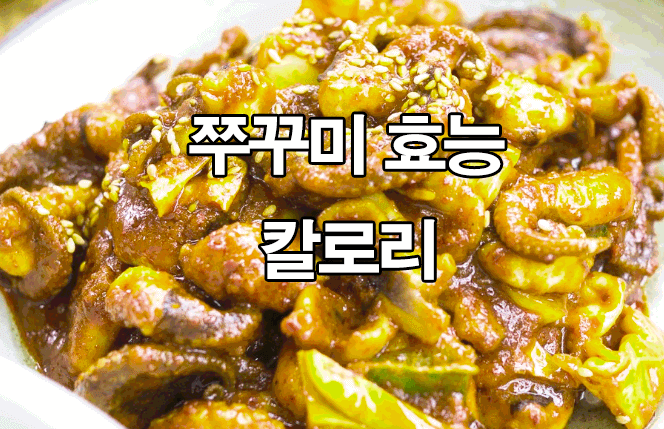  주꾸미 효능, 칼로리 : 쭈꾸미