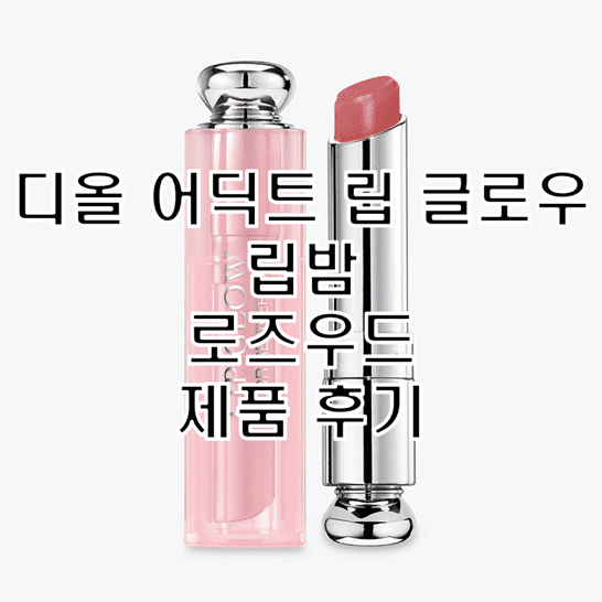  디올 어딕트 립 글로우 립밤 012 로즈 우드 추천 후기