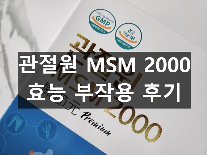 관절원 MSM 2000