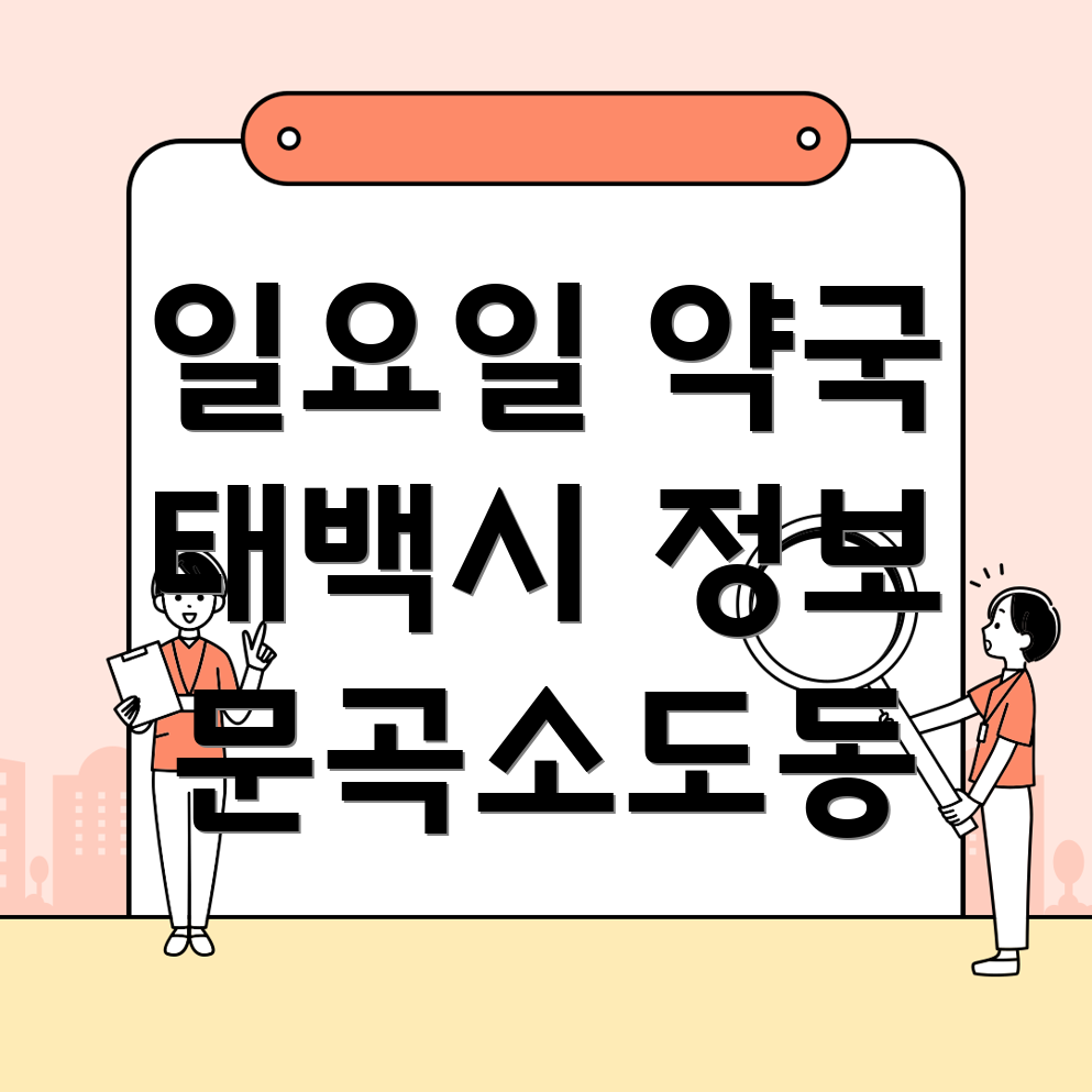 일요일 영업 약국