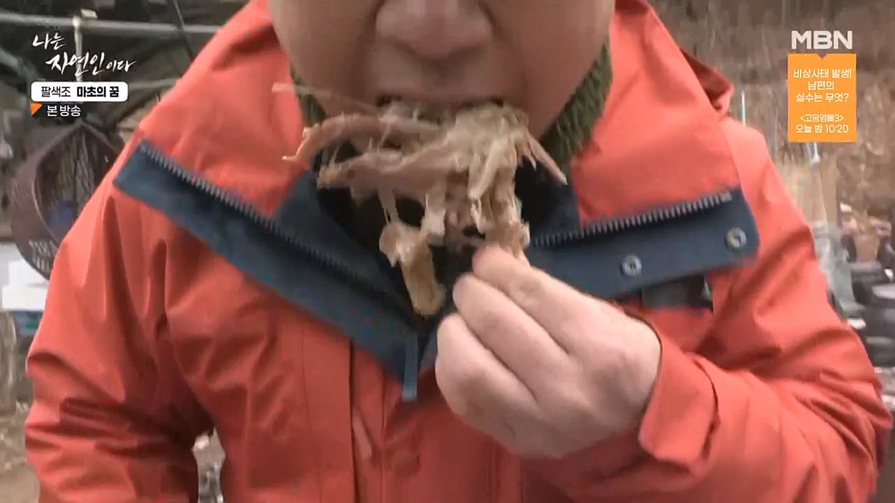 나는 자연인이다.E544.230309p-NEXT.mp4_20230309_191739.499.jpg